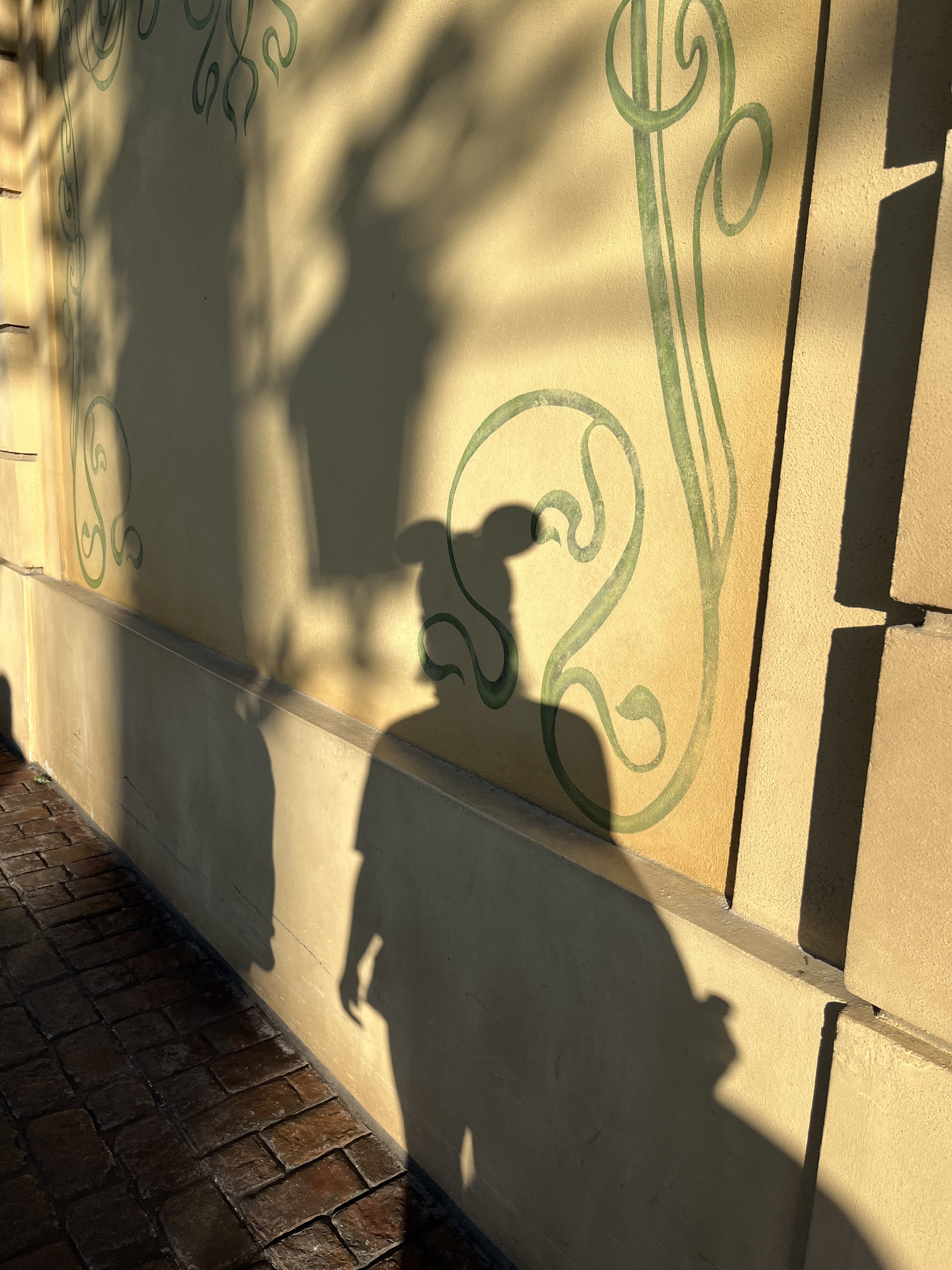 Momentos mágicos para toda la vida. #Magia #ViajeMagico #Mickey